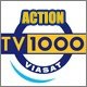 TV 1000 Action